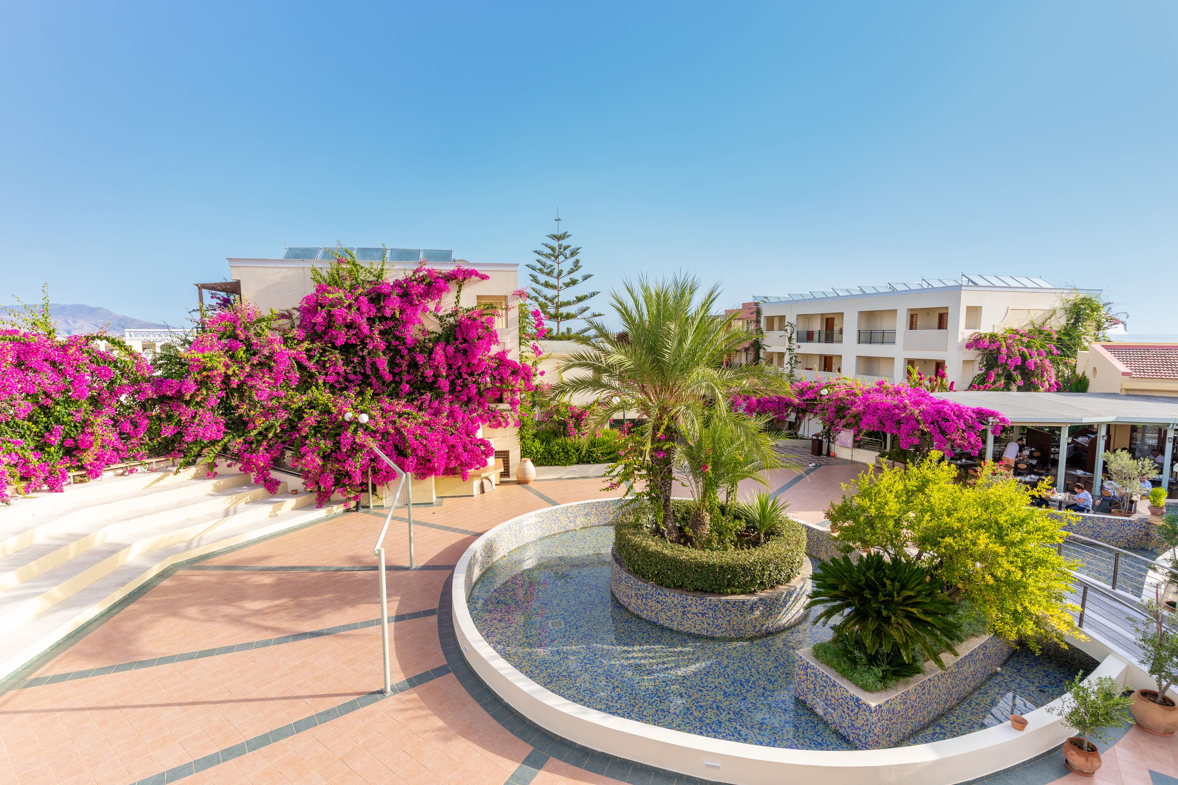 Un jardin sur le toit agrémenté d’une fontaine circulaire, entouré de magnifiques bougainvilliers aux fleurs roses éclatantes et de diverses plantes en pot.