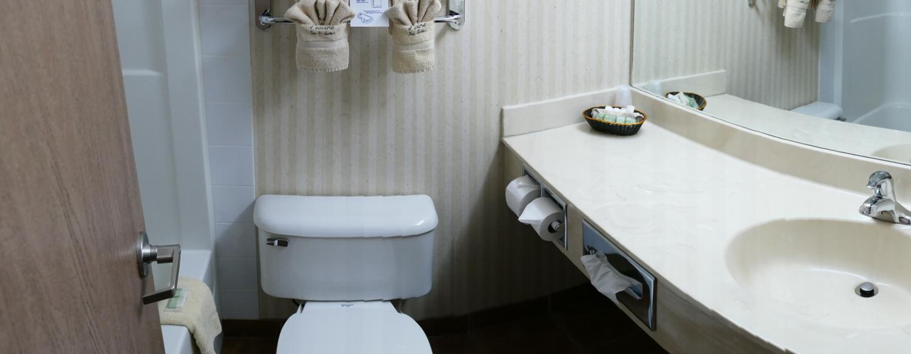 combined shower/bathtub, free toiletries, hair dryer, towels