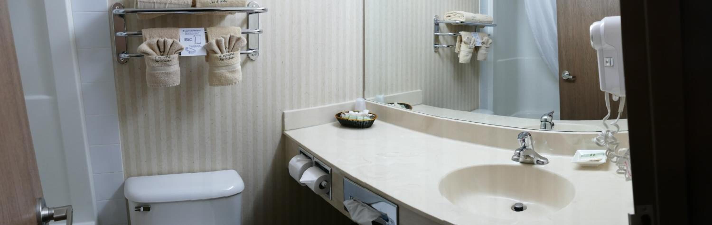 combined shower/bathtub, free toiletries, hair dryer, towels