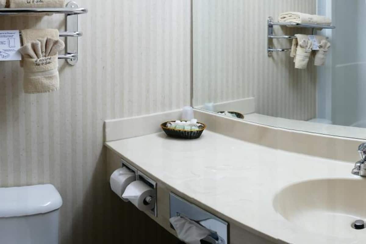 combined shower/bathtub, free toiletries, hair dryer, towels