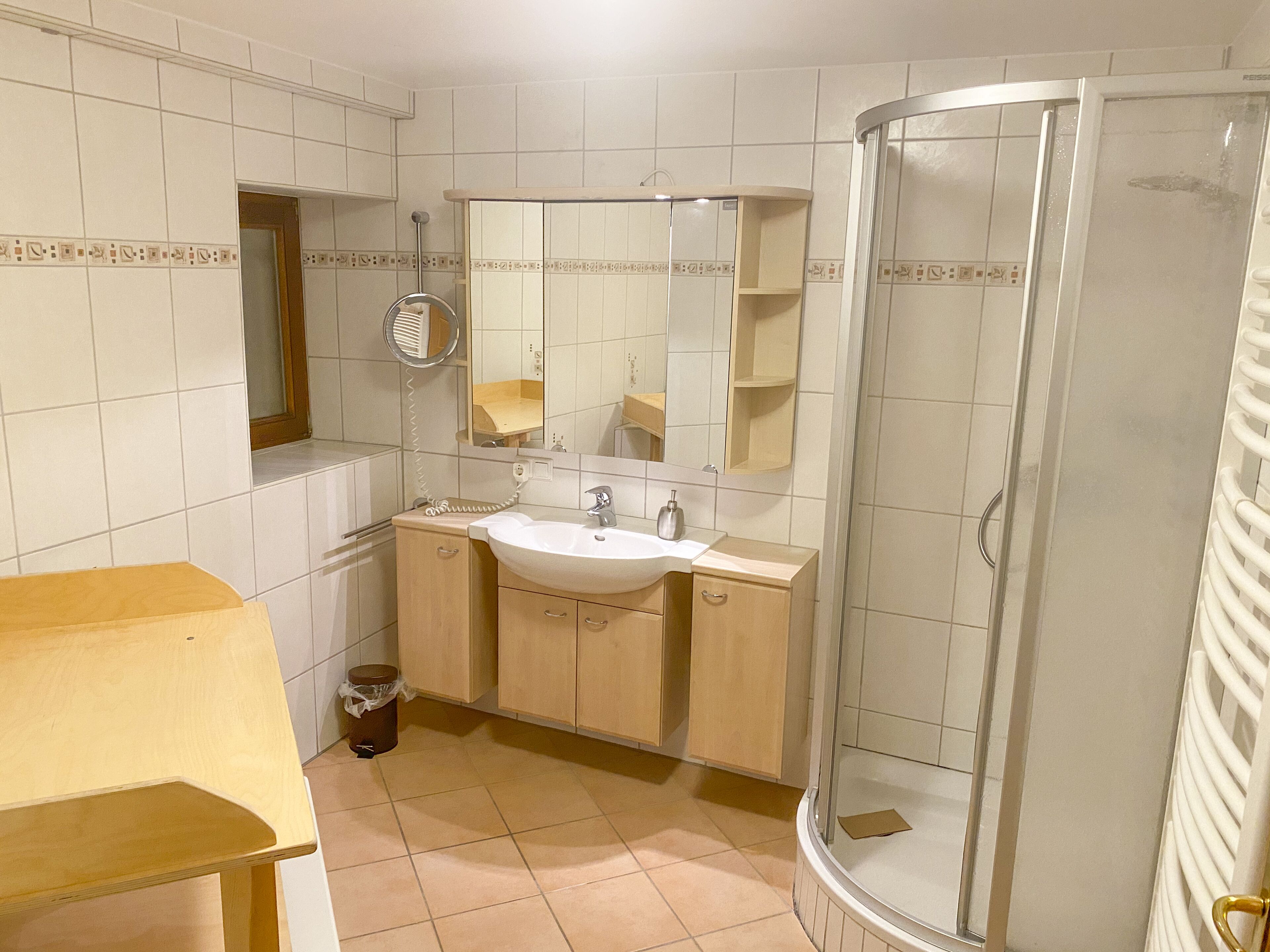 Une salle de bain avec un lavabo, un miroir et une douche.