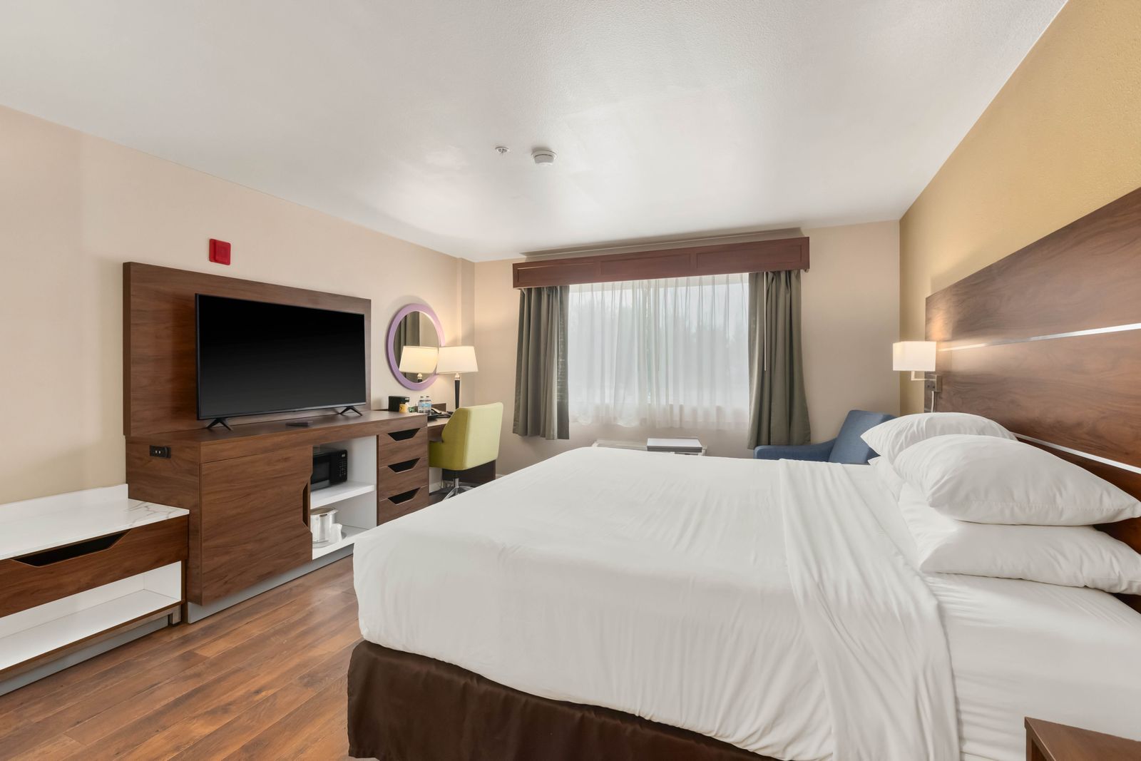 Habitación de hotel con cama, escritorio, televisor de pantalla plana, silla, lámpara y ventana con cortinas.
