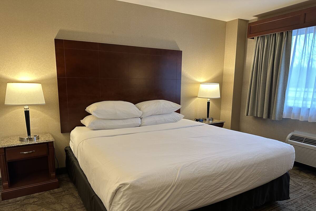 Habitación de hotel con una cama grande, dos mesitas de noche con lámparas, un cabecero, una ventana con cortinas y un equipo de aire acondicionado.