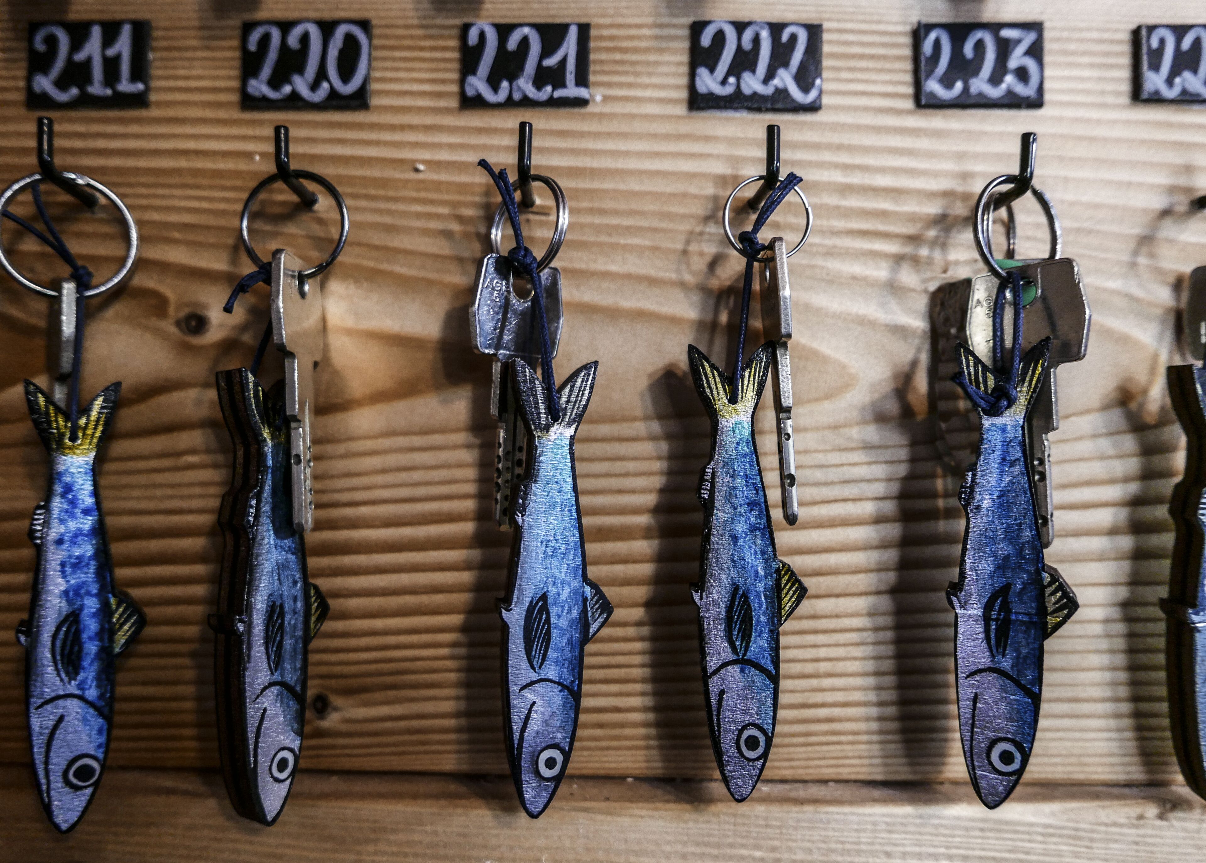 Photo - Hotel Fra I Pini