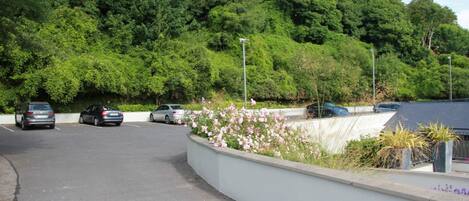 A parking lot with several cars, surrounded by lush greenery and a white wall with flowers.