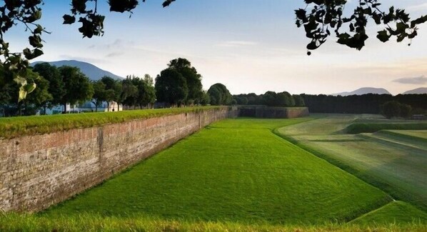 Garden - L'Arancio (Lucca)