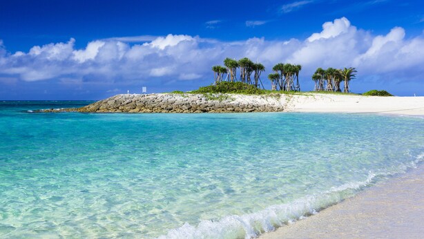 Una playa con aguas turquesas cristalinas, una orilla arenosa y una pequeña isla rocosa con palmeras.