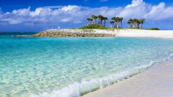 Una spiaggia nelle vicinanze