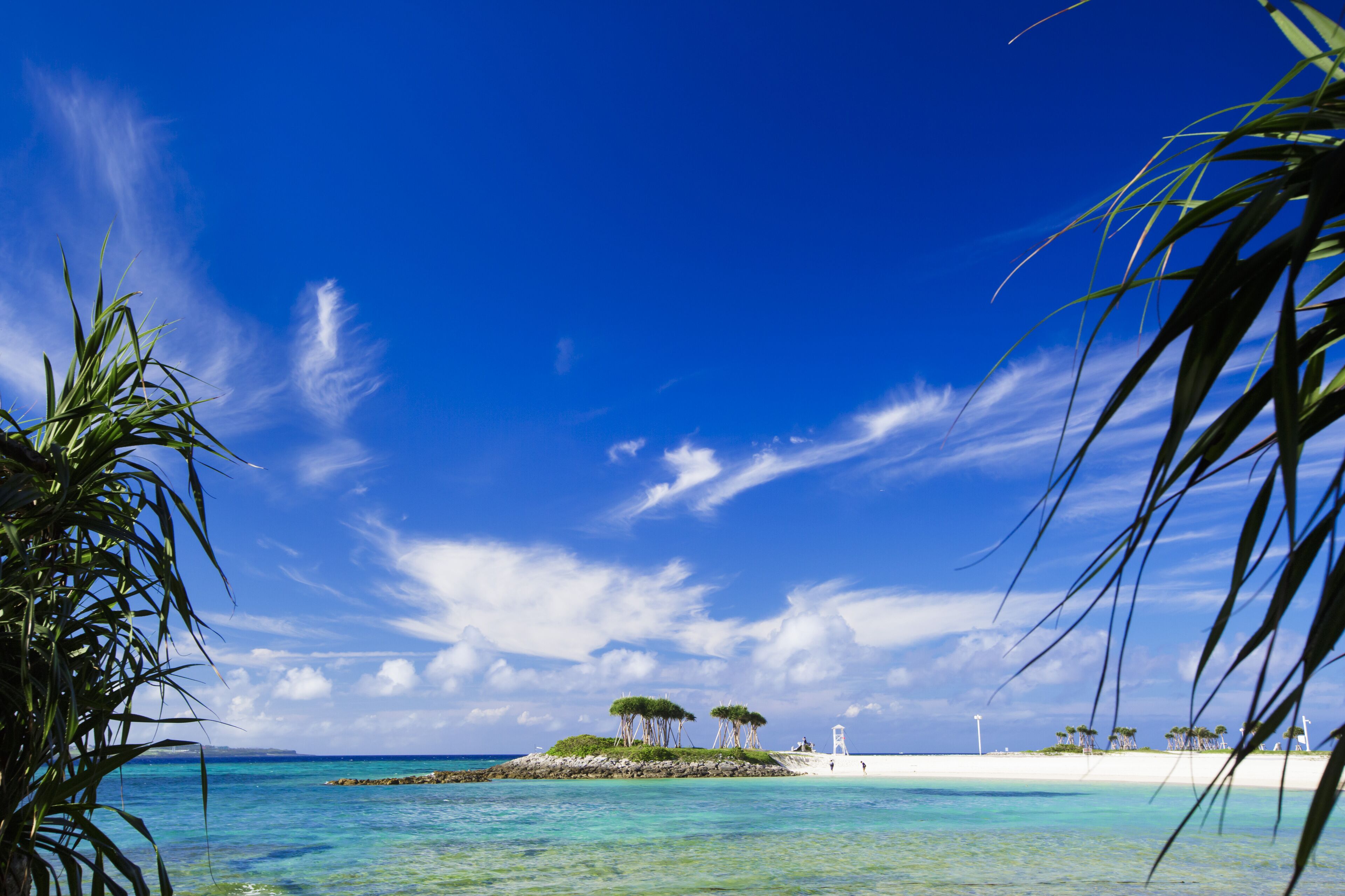A tropical beach with clear blue waters, a white sandy shore, and a few trees on a small island.