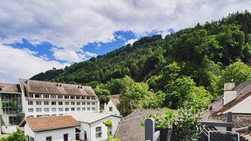 City view from property