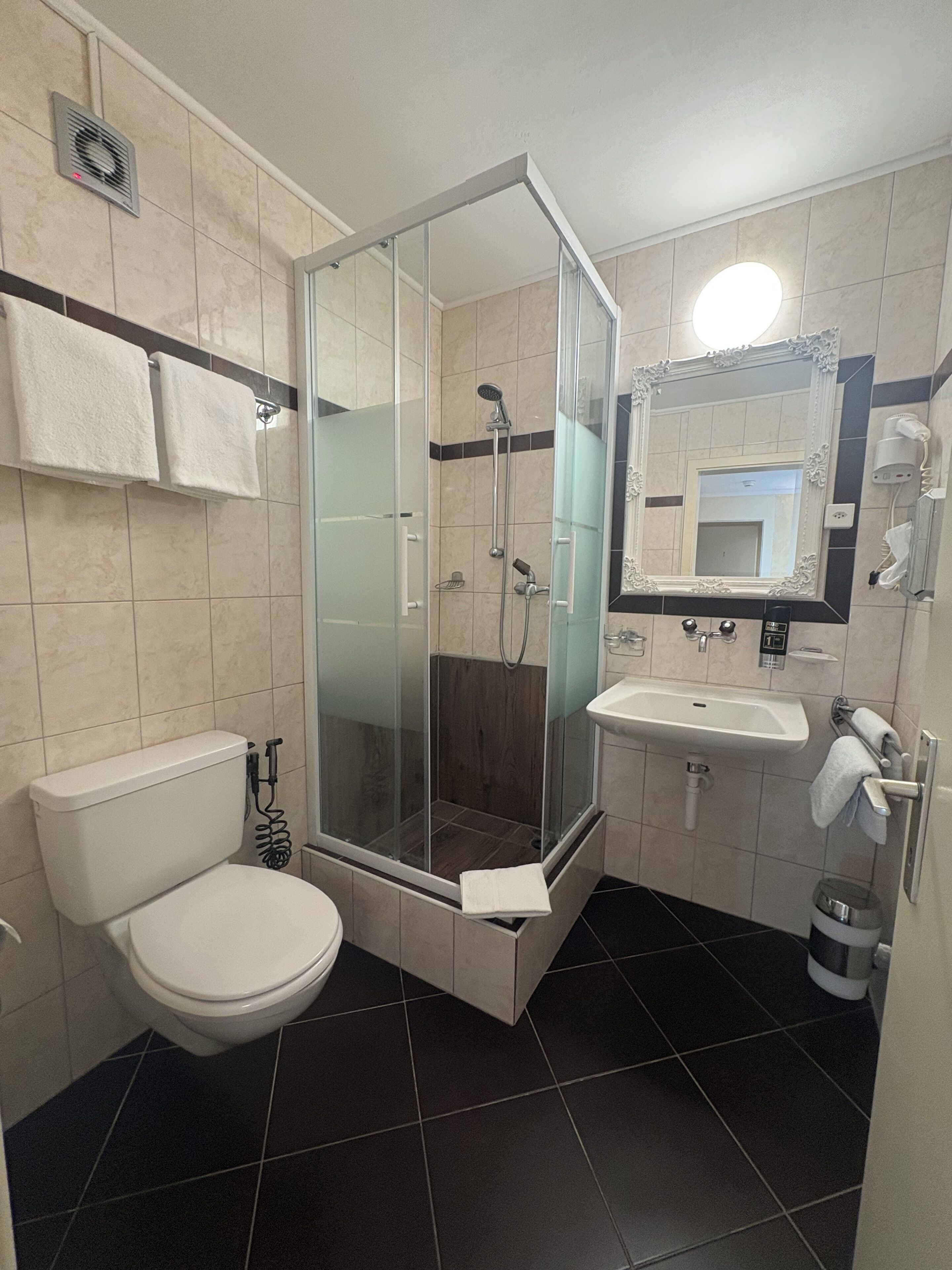 A modern bathroom with a glass-enclosed shower, a white toilet, a sink, and a mirror with a decorative frame.