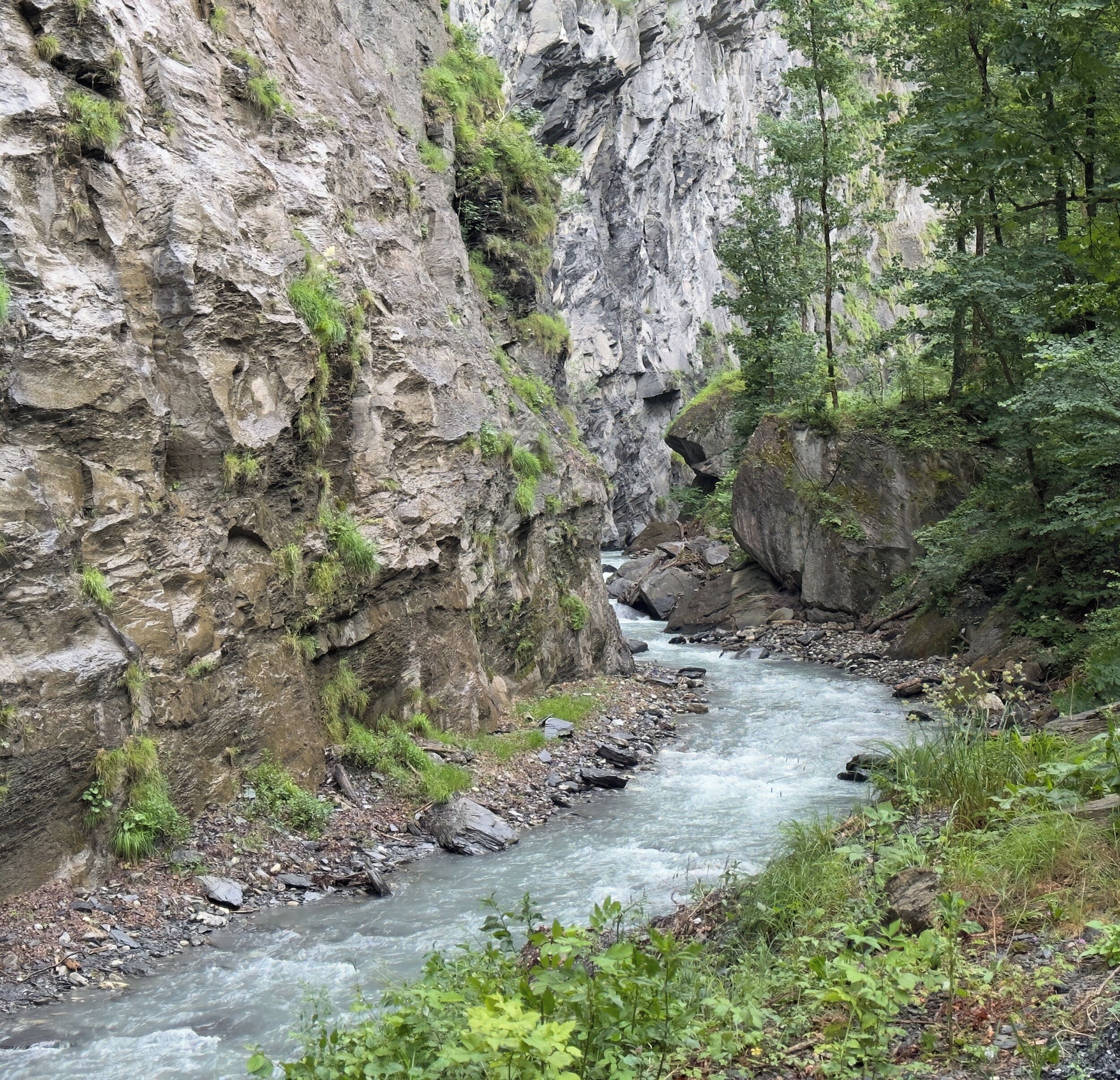 A river flowing through a rocky gorge with dense foliage on the sides.