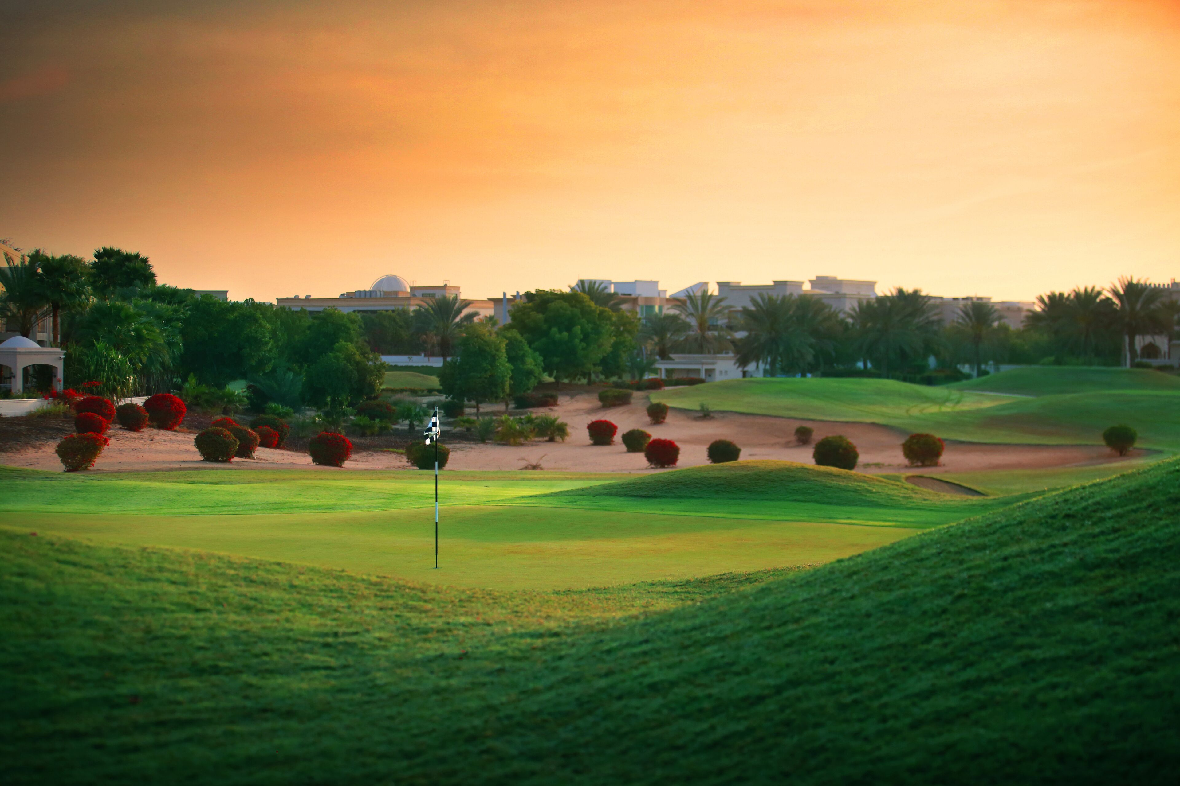 Um campo de golfe com haste de sinalização, rodeado por relva bem cuidada e arbustos esféricos vermelhos.