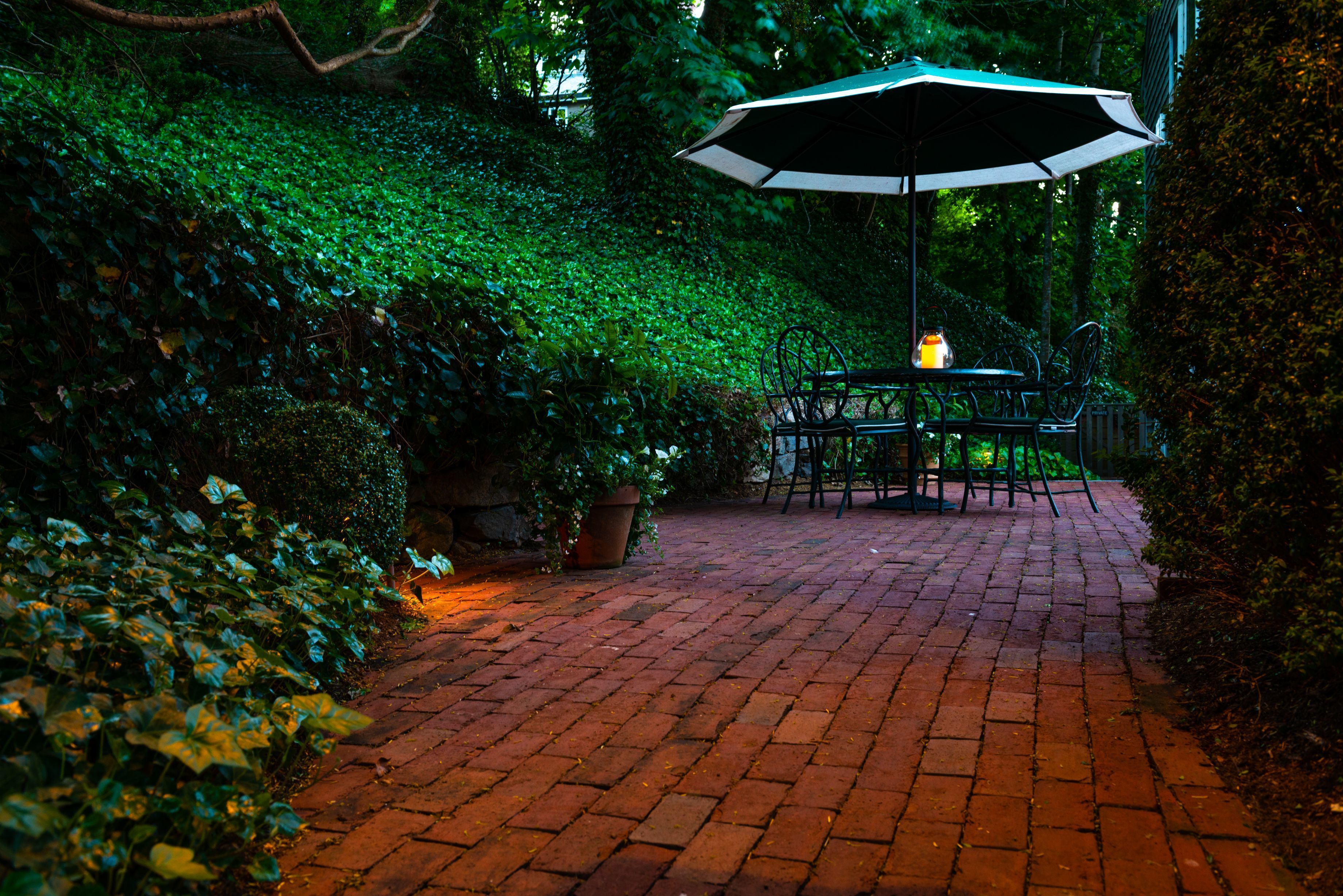 A brick pathway leading to a table and chairs with an umbrella, surrounded by lush greenery.