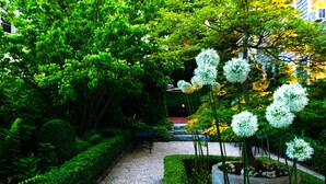 A garden pathway with a gravel surface, surrounded by lush greenery and white spherical flower arrangements. - Union Street Inn (Nantucket)