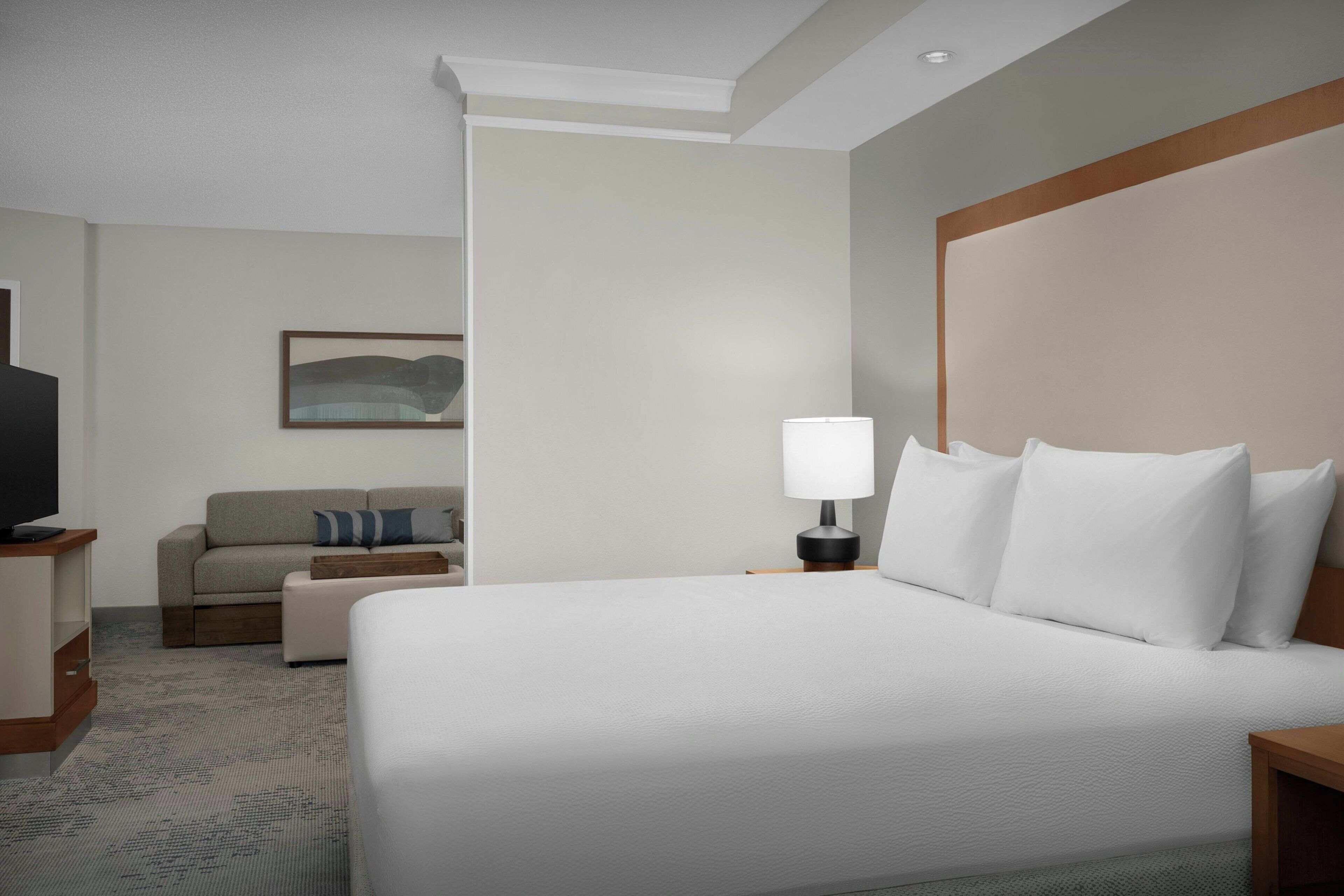 Habitación de hotel con cama, sofá, televisión, lámpara y un cuadro en la pared.