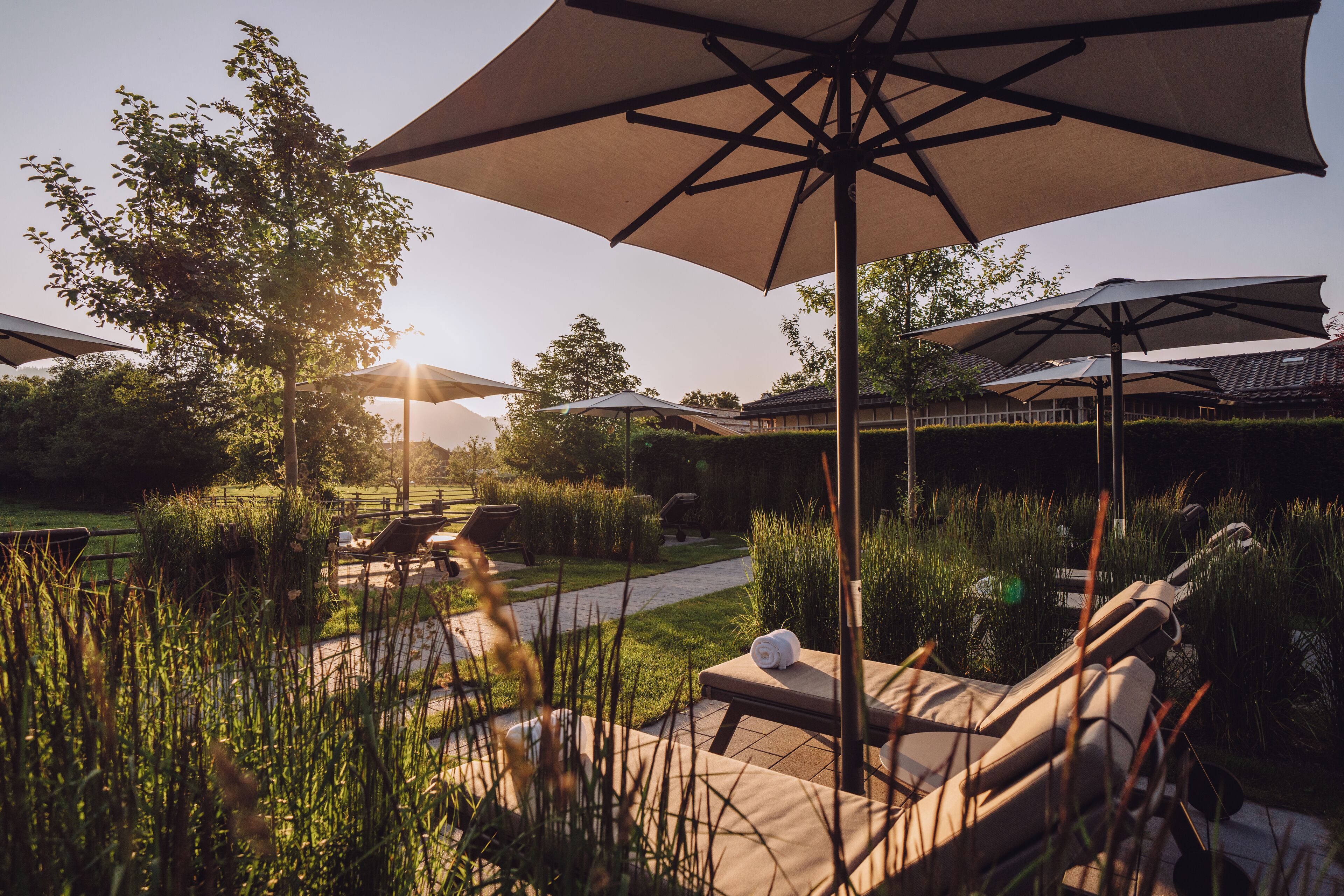 A serene outdoor patio area with lounge chairs and large umbrellas, surrounded by lush greenery and a pathway.