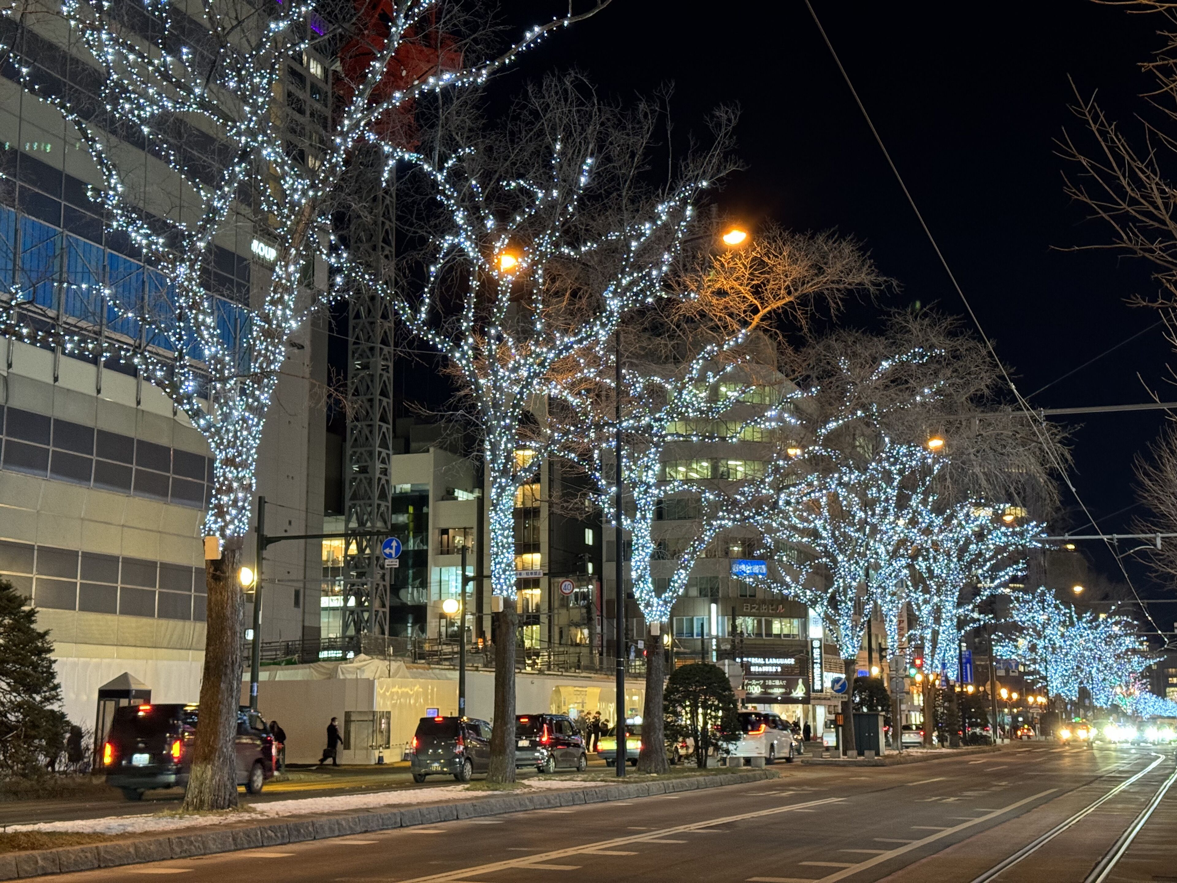 A street lined with trees wrapped in white lights, buildings in the background, and a clear night sky.
