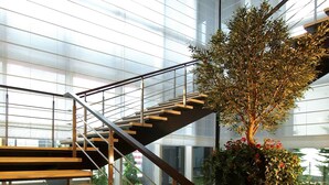 Een modern interieur met een glazen trap, houten treden en een potplant met rode bloemen.