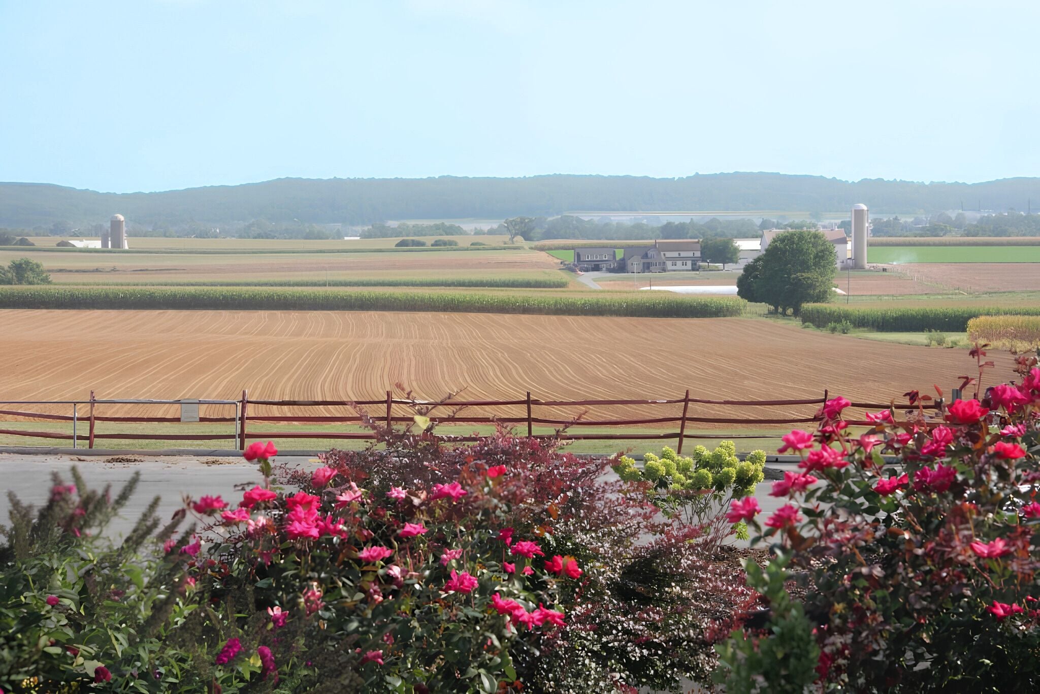 A rural landscape with a field, a wooden fence, and a variety of flowering plants in the foreground.