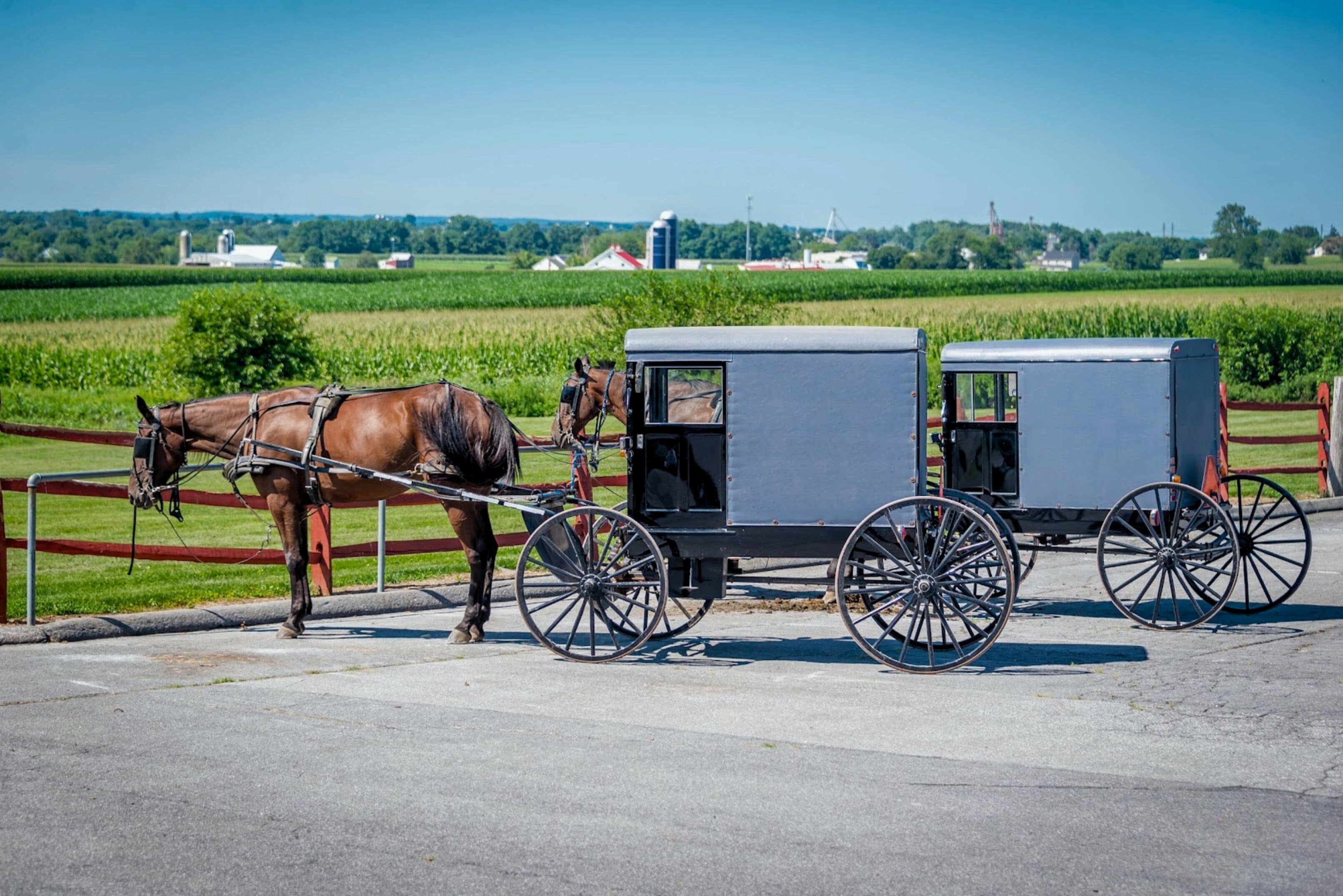 Une calèche tirée par des chevaux est garée sur une route asphaltée, avec un paysage rural en arrière-plan.