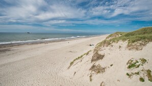 A beach with a sandy shore, grassy dunes, and a clear sky. - Hotel Ringkjøbing (Ringkobing)