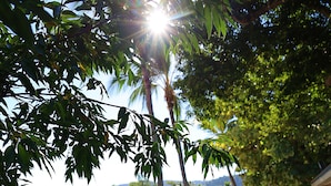 A tropical resort with a beachfront view, palm trees, and a pathway leading to the beach. - Whitsunday Terraces Hotel Airlie Beach (Airlie Beach)