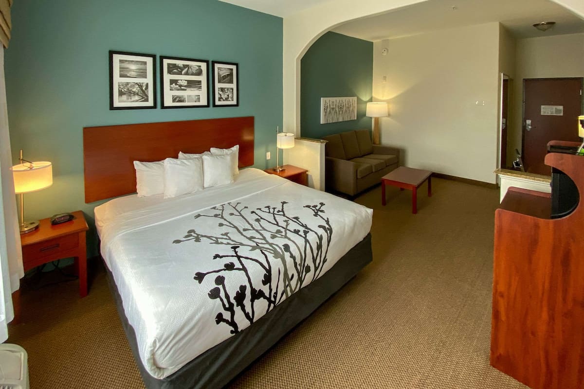 A hotel room with a large bed, a sofa, a desk, and a mirror.