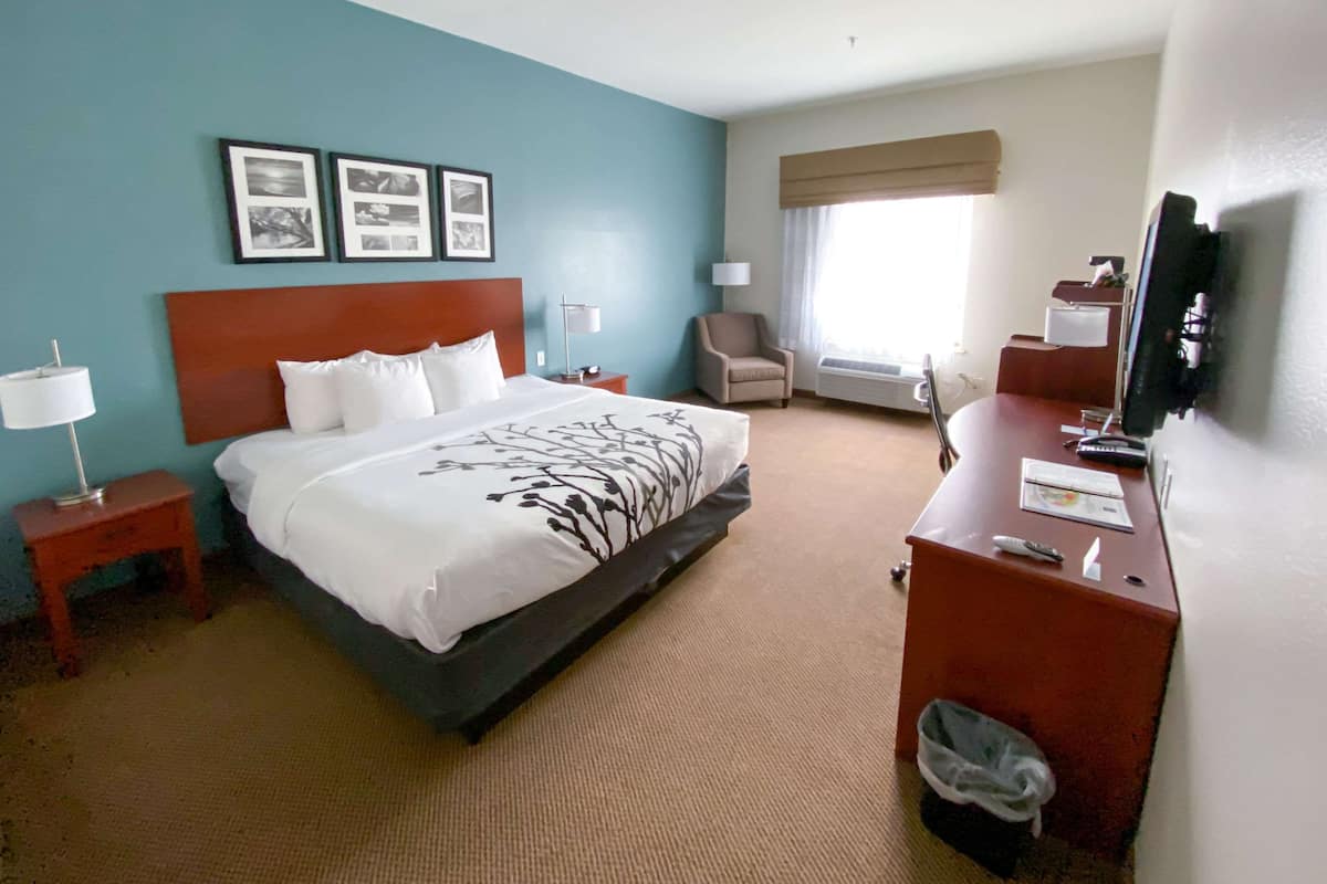 A hotel room with a large bed, a desk with a TV, a chair, and framed pictures on the wall.