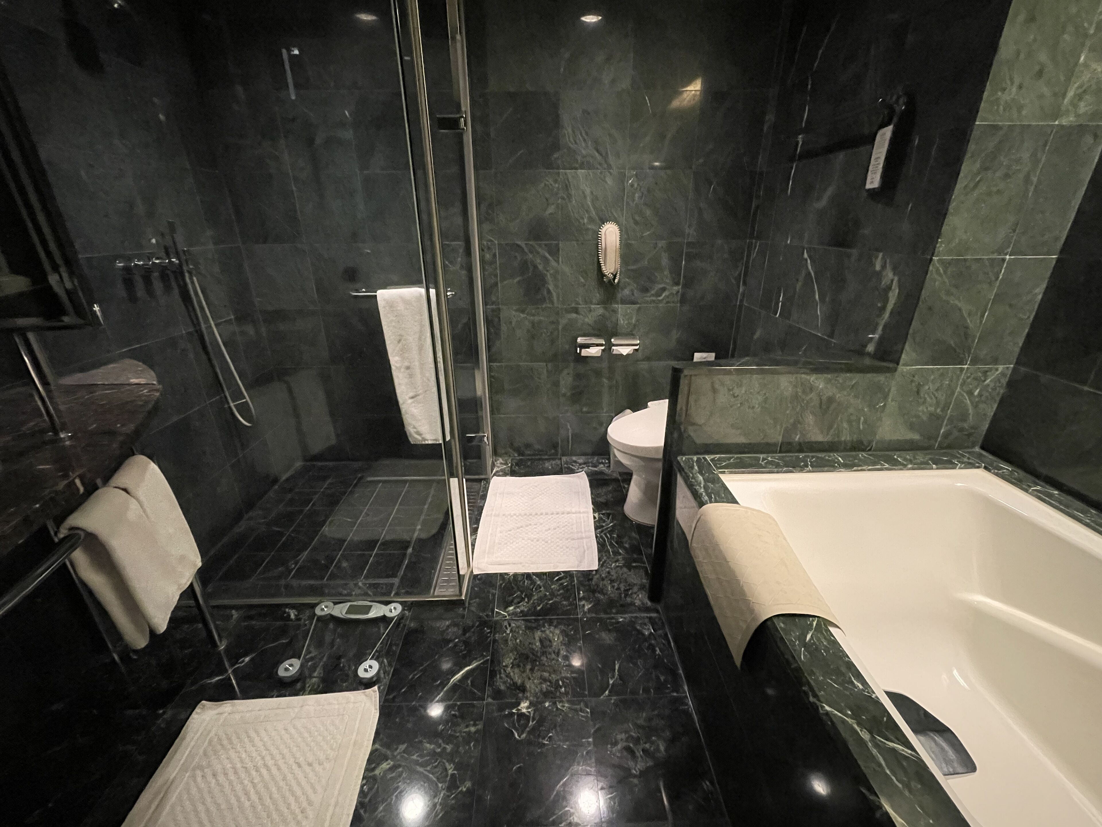 A modern bathroom with a glass-enclosed shower, a bathtub, and a toilet.
