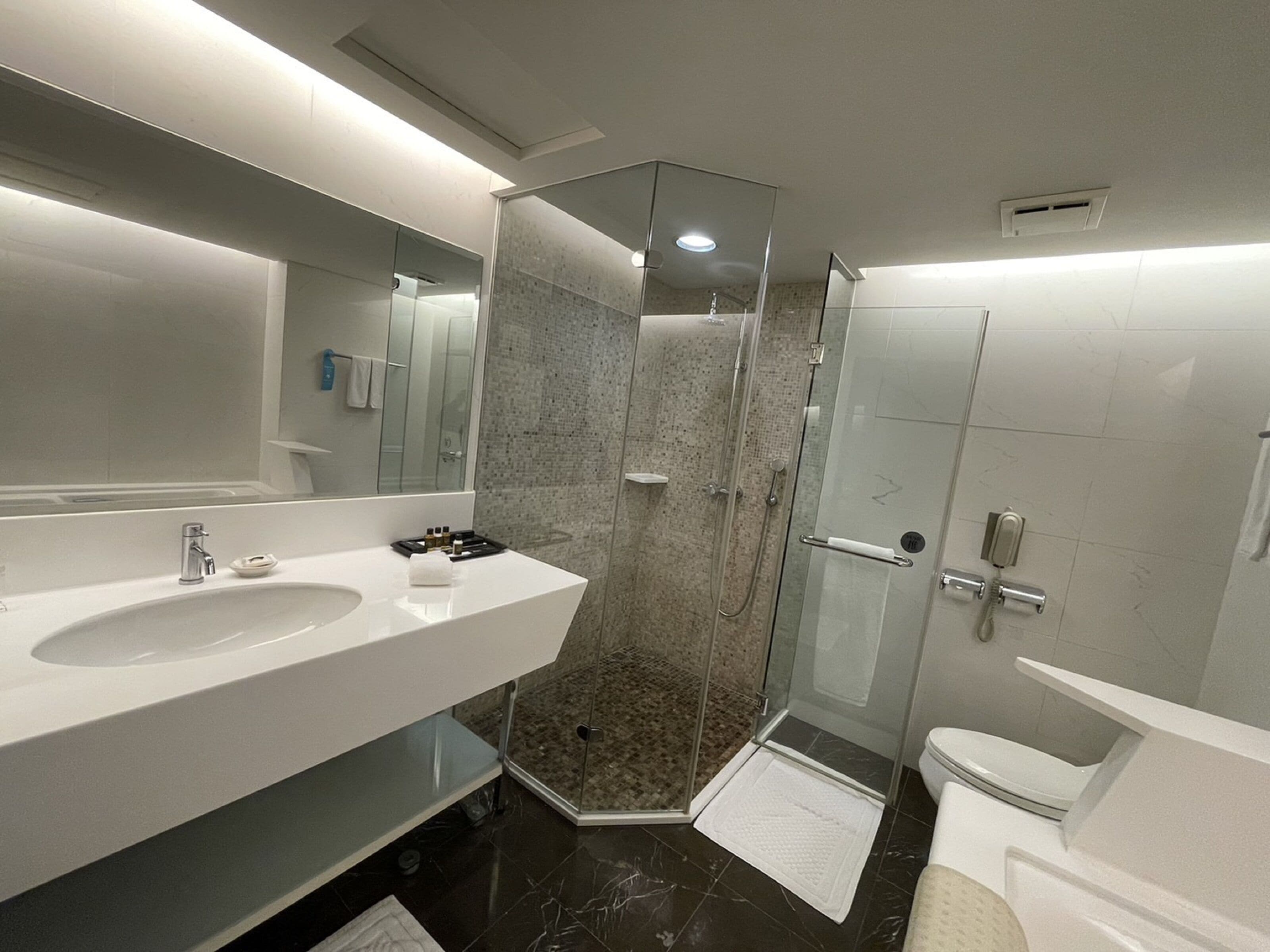 Un baño moderno con ducha envuelta en vidrio, un espejo grande y un lavabo blanco.