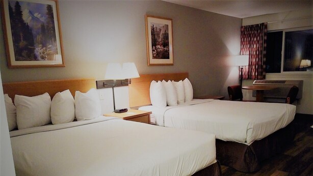 Habitación de hotel con dos camas, una mesita de noche, una lámpara y dos cuadros en la pared.