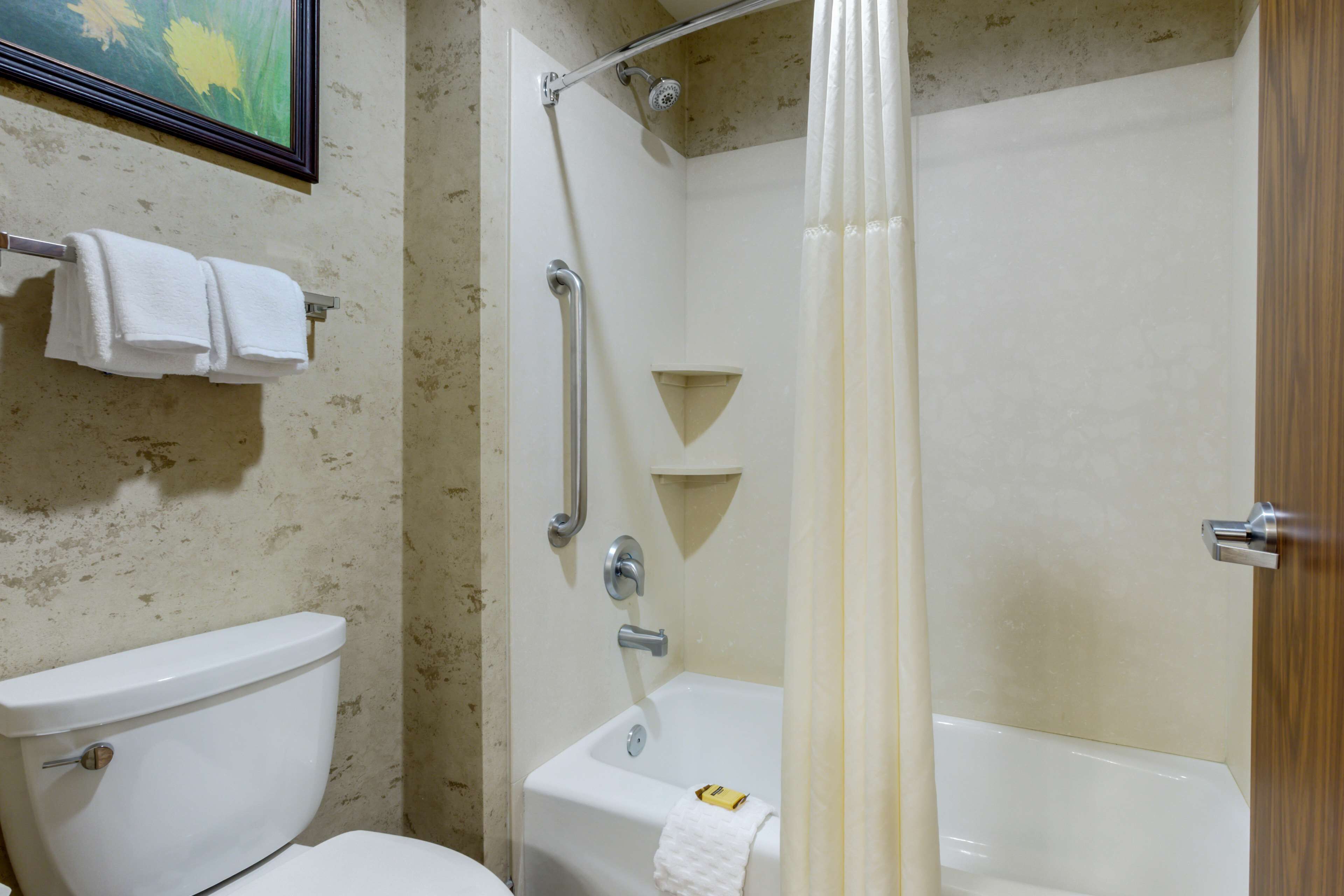 combined shower/bathtub, free toiletries, hair dryer, towels