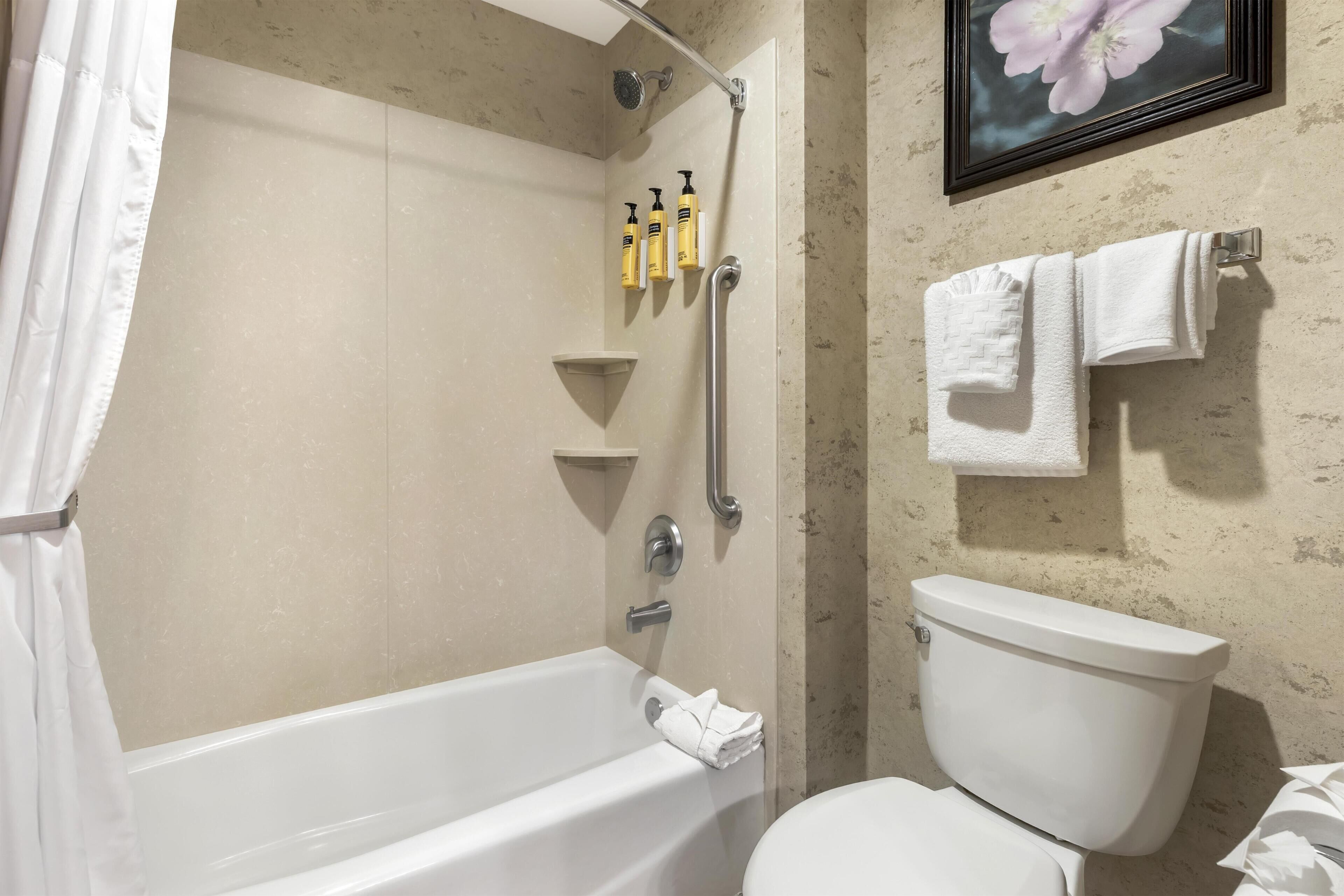 Bagno con vasca, toilette, doccia e maniglie di sostegno.