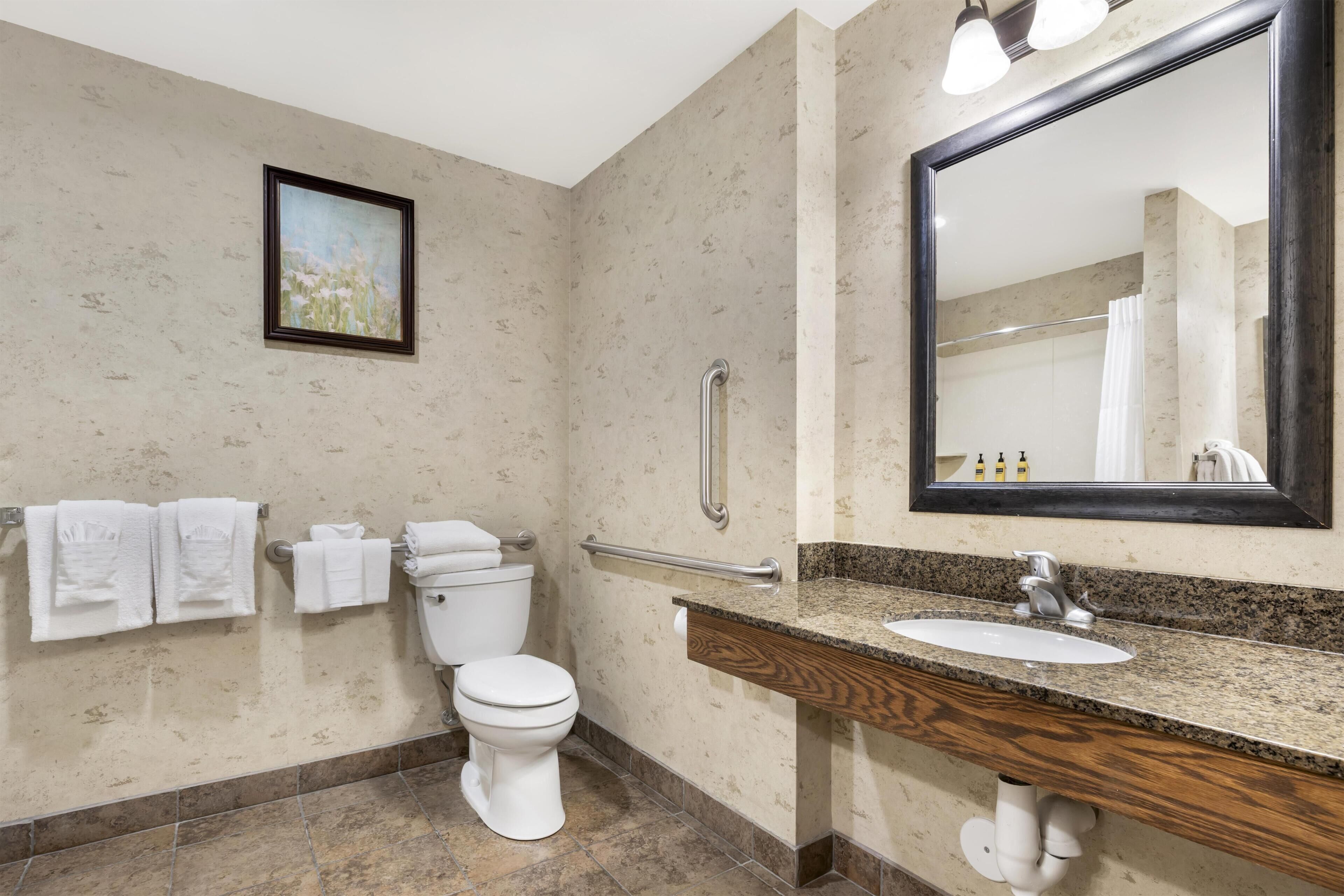 Een badkamer met toilet, wastafel, spiegel, handdoekhouder en handgreep.