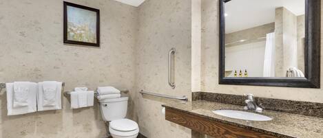 Een badkamer met toilet, wastafel, spiegel, handdoekhouder en handgreep.