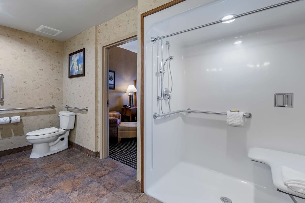 suite, 1 king bed, accessible, non smoking (with sofabed) | bathroom | combined shower/bathtub, free toiletries, hair dryer, towels
