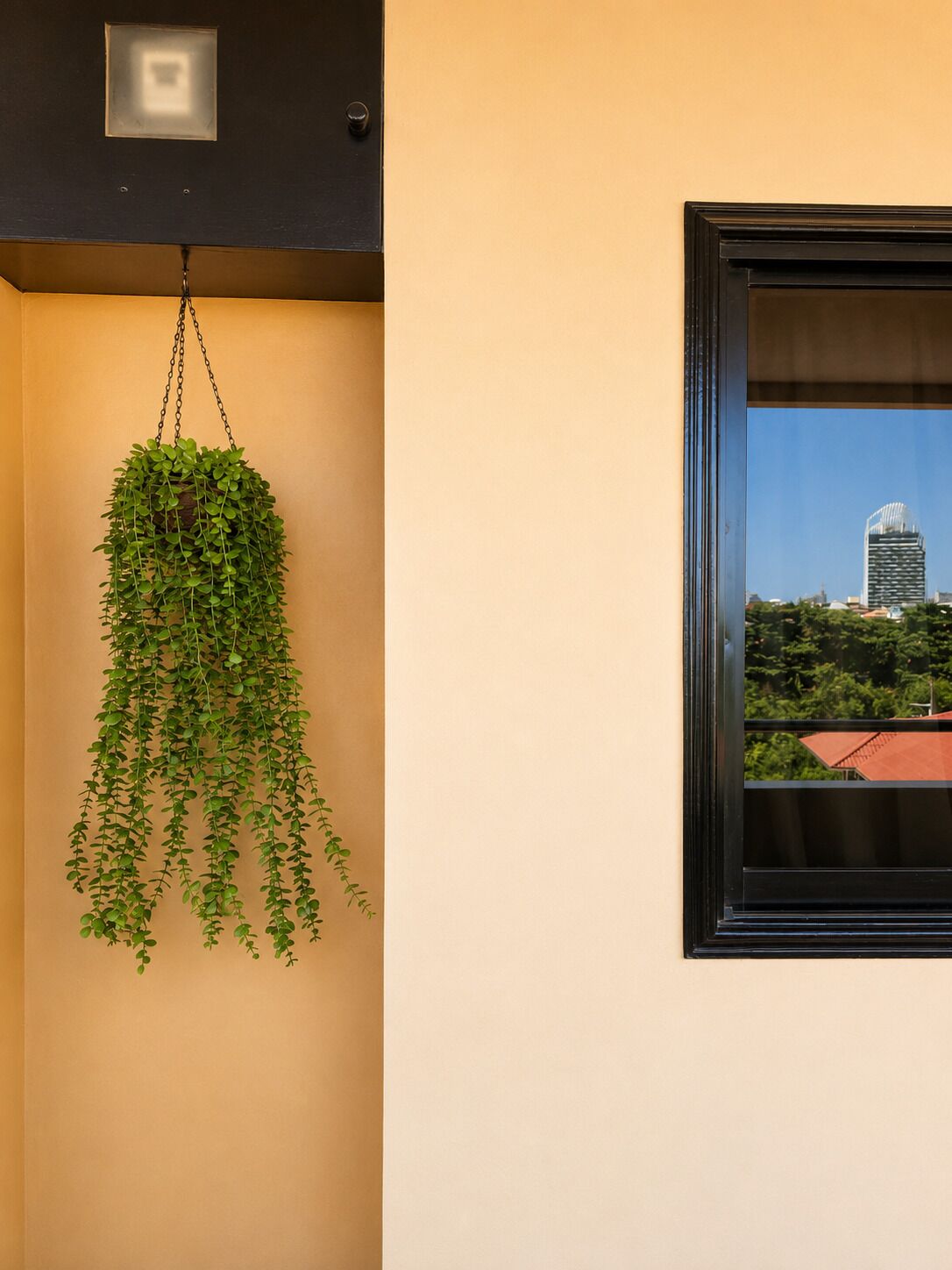 A hanging plant with a view of a cityscape through a window.