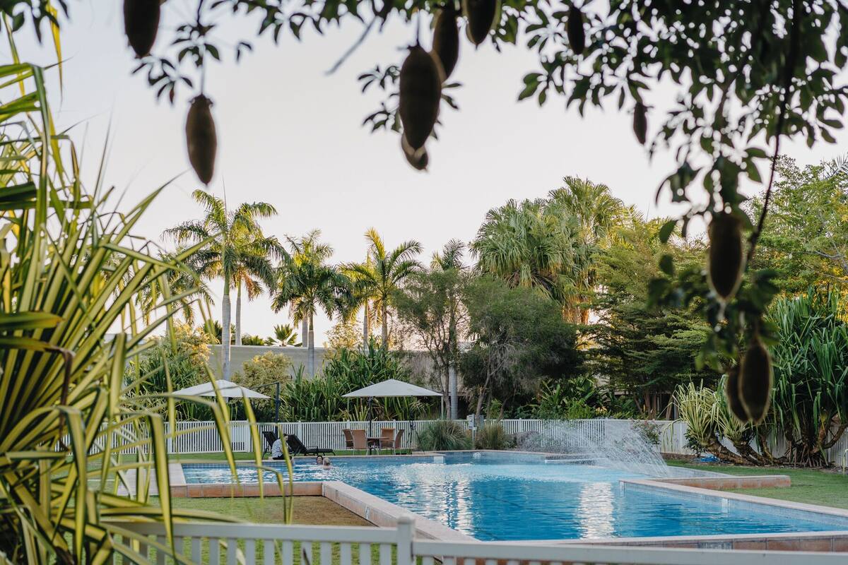 Una piscina rodeada de abundante vegetación y palmeras.