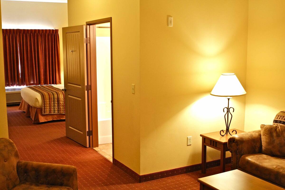 A hotel room with a bed, a sofa, a lamp, and a chair.