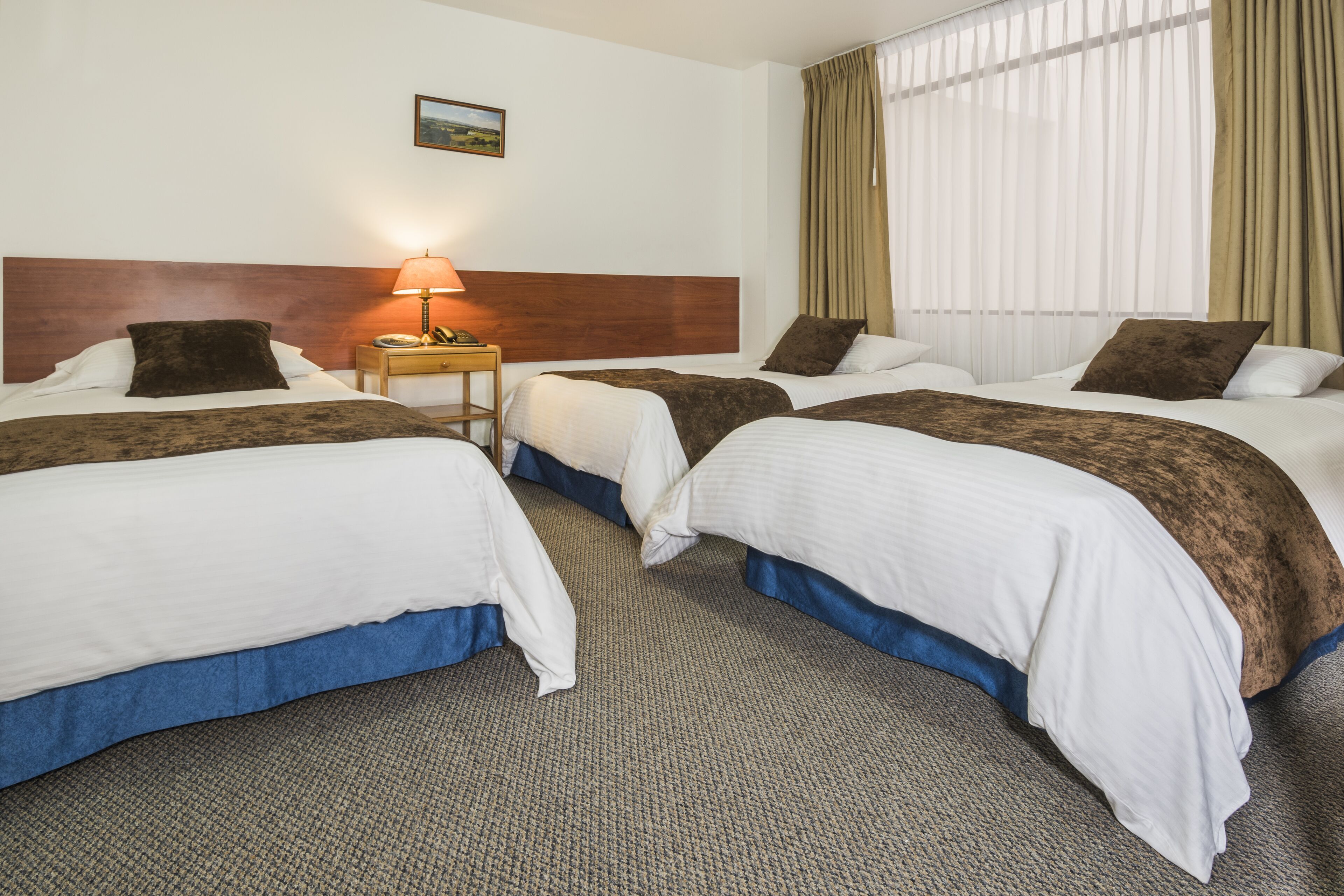 Habitación de hotel con dos camas, una mesita de noche con lámpara, un cuadro en la pared y una ventana con cortinas.