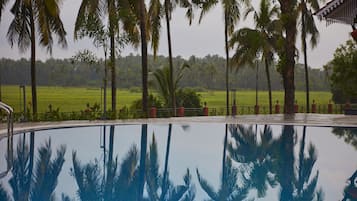 Outdoor pool, pool umbrellas, pool loungers