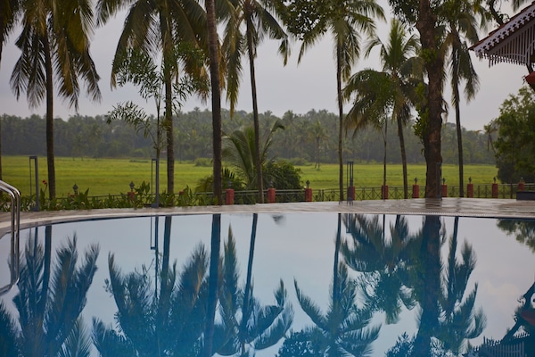 Piscina externa, funciona das 7h às 19h30, guarda-sóis, espreguiçadeiras