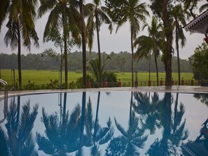 A swimming pool with palm trees and a grassy field in the background.