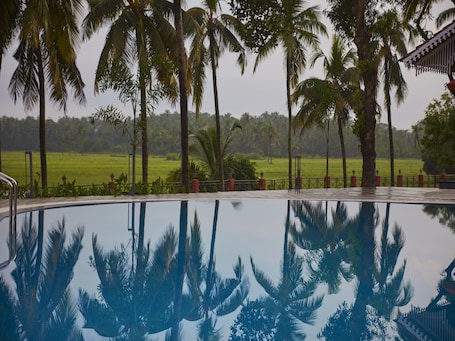 Una piscina al aire libre, sombrillas, sillones reclinables de piscina