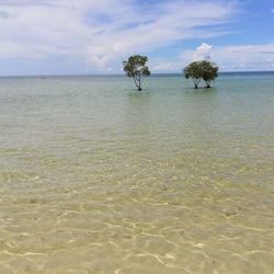 On the beach, sun loungers, beach towels, kayaking