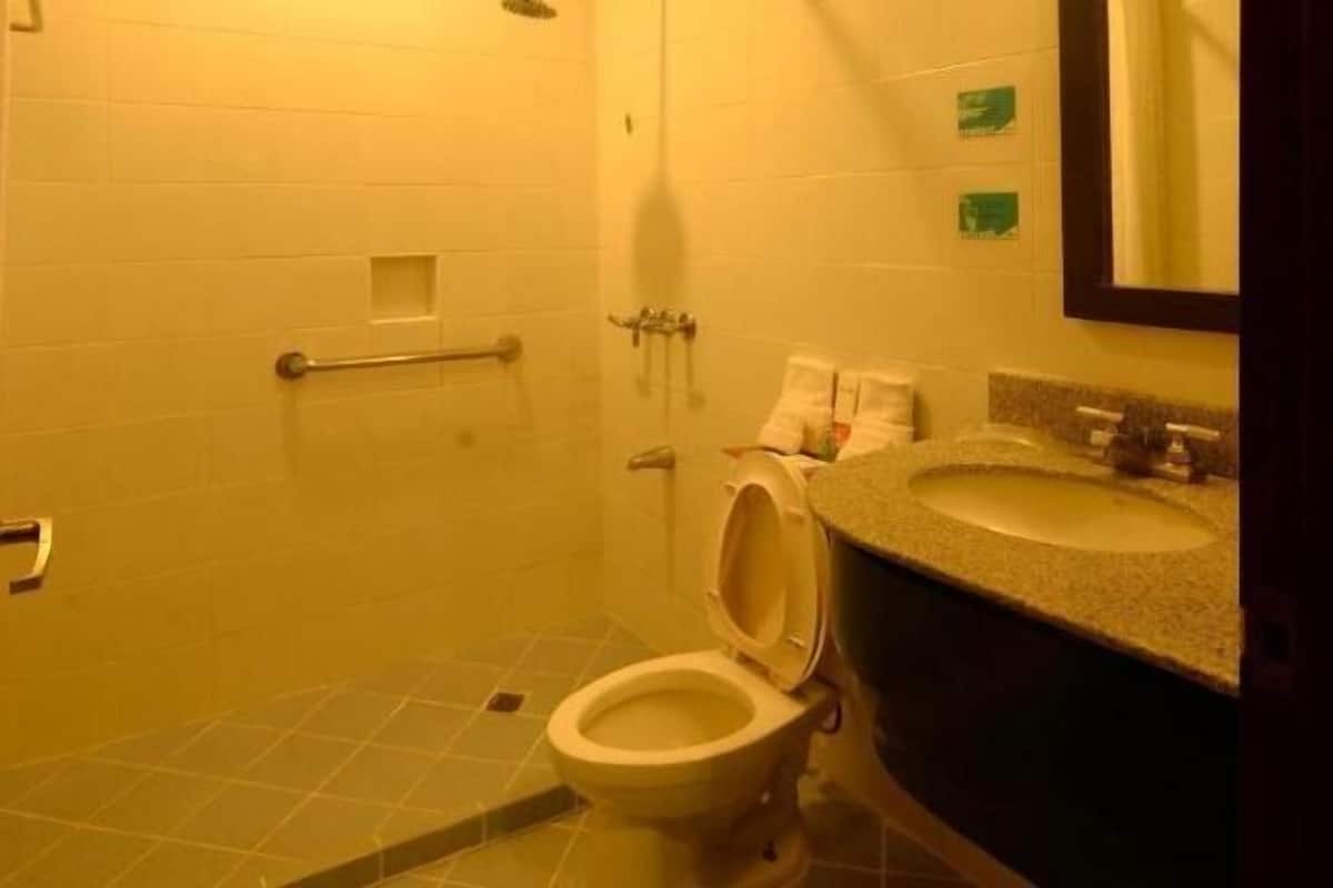 Bathroom | Shower, rainfall showerhead, free toiletries, hair dryer