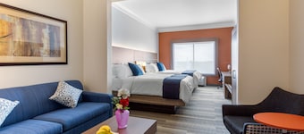 Holiday Inn Express Hotel & Suites Houston-Alvin by IHG
