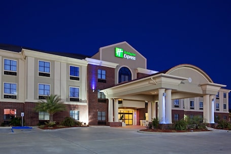 Exterior. Holiday Inn Express Hotel & Suites VIDOR SOUTH by IHG