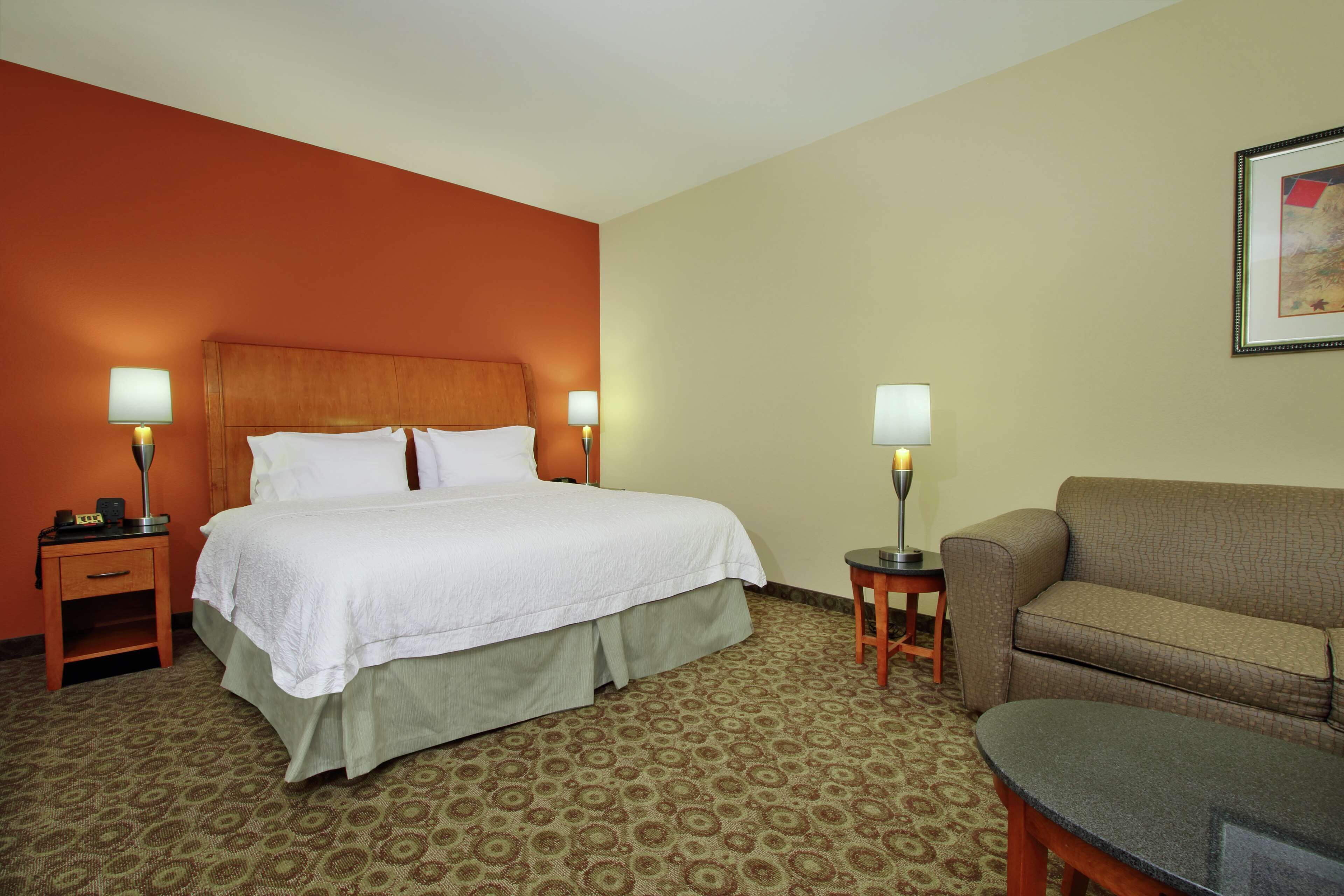 Una camera d'hotel con un letto, due comodini con lampade, un divano e una moquette decorata.